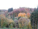 Roentgenlauf 2015 - 060.jpg